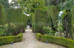 Garden complexes of the Generalife