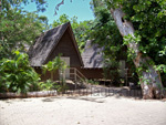 Our bungalow hut
