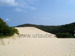 Sand dune on the way to the Lake Wabby