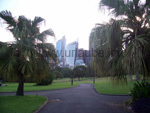 Botanical garden of Sydney