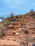 Ascend of the Kings Canyon Walks