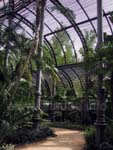 The wonderful palm house; one should pay attention to the structure of the ceiling!