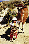 Who is pulling whom? Small Bolivian boy with a lama