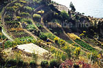 In the watered terrace complex, agriculture is also accomplished during the dry period.