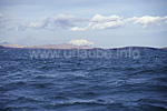 The Titicaca Lake efervesced by the strong wind with the Illimani in the background