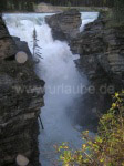 Athabasca Falls: the both destructive as well as creative powers of Athabasca River have formed a narrow Canyon.