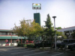 Daffodil Inn - a motel in Victoria with fair prices