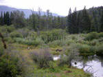 Typical marshes in northern British Columbia