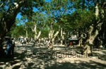 A small shady spot in Saint-Tropez for relaxing