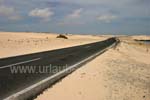 Drive through the sand dunes of Corralejo