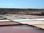 The checkered basins of the salt production complex of Janubio