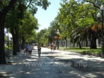 The promenade of the Plaza de Cibeles in direction to the Biblioteca Nacional