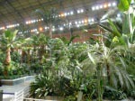 The probably most tropical station hall that exists: Atocha 