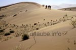 Dune hiking in the Namib desert