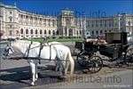 The Fiaker is one of the most romantic ways to explore Vienna - but compared to the other means of transportation also the most expensive one.