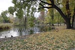 Dreamlike autumn coulisse in the city park of Vienna