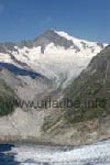 Aletschhorn (4195 m) and the Mittelaletsch Glacier