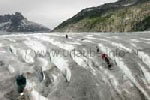 Brave glacier hikers at the bottom of the Rhone-Glacier